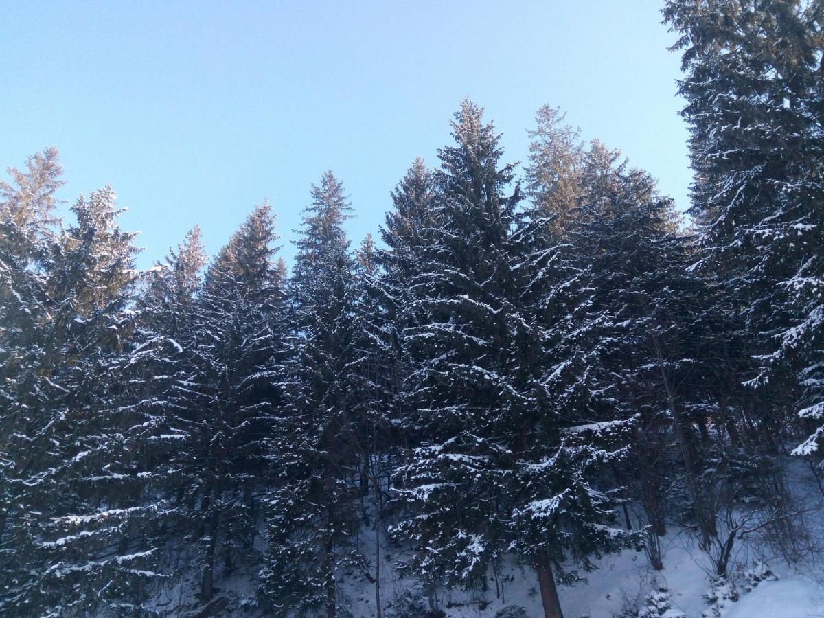 Дома для отпуска Karpaty Gutsulska Sadyba Микуличин