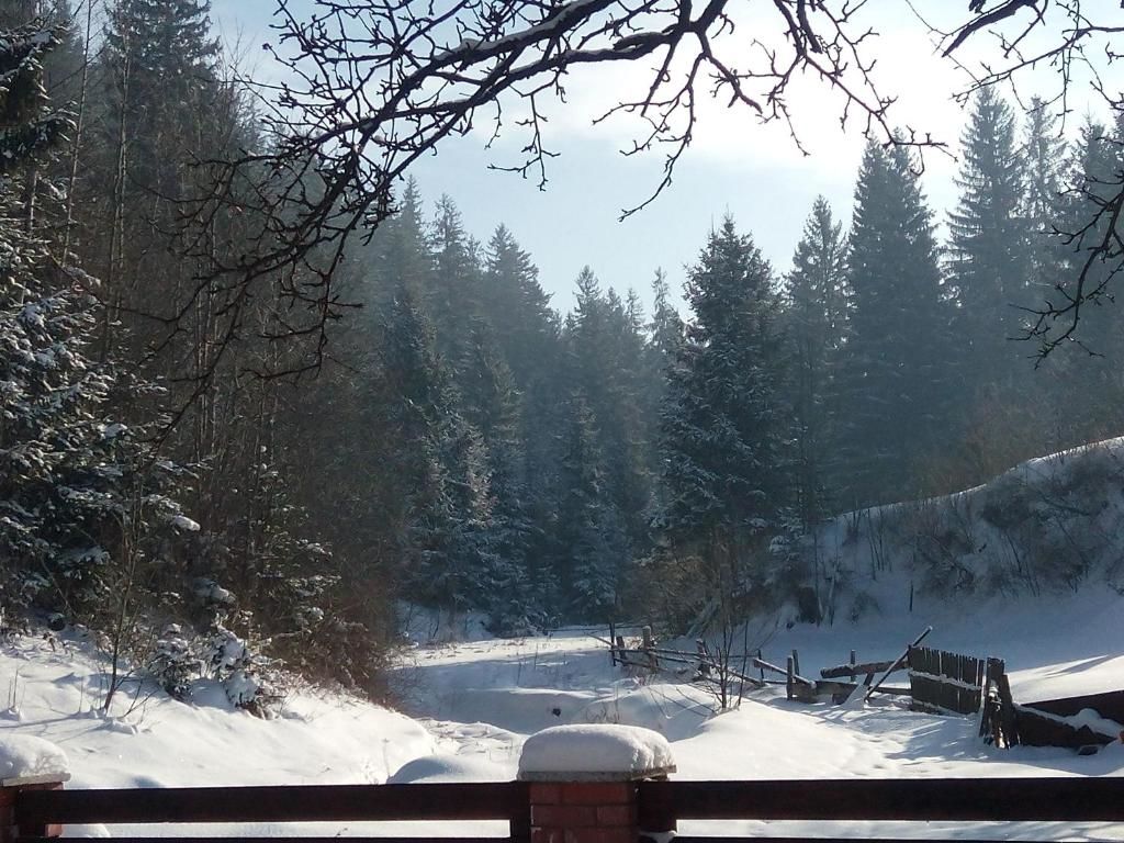 Дома для отпуска Karpaty Gutsulska Sadyba Микуличин