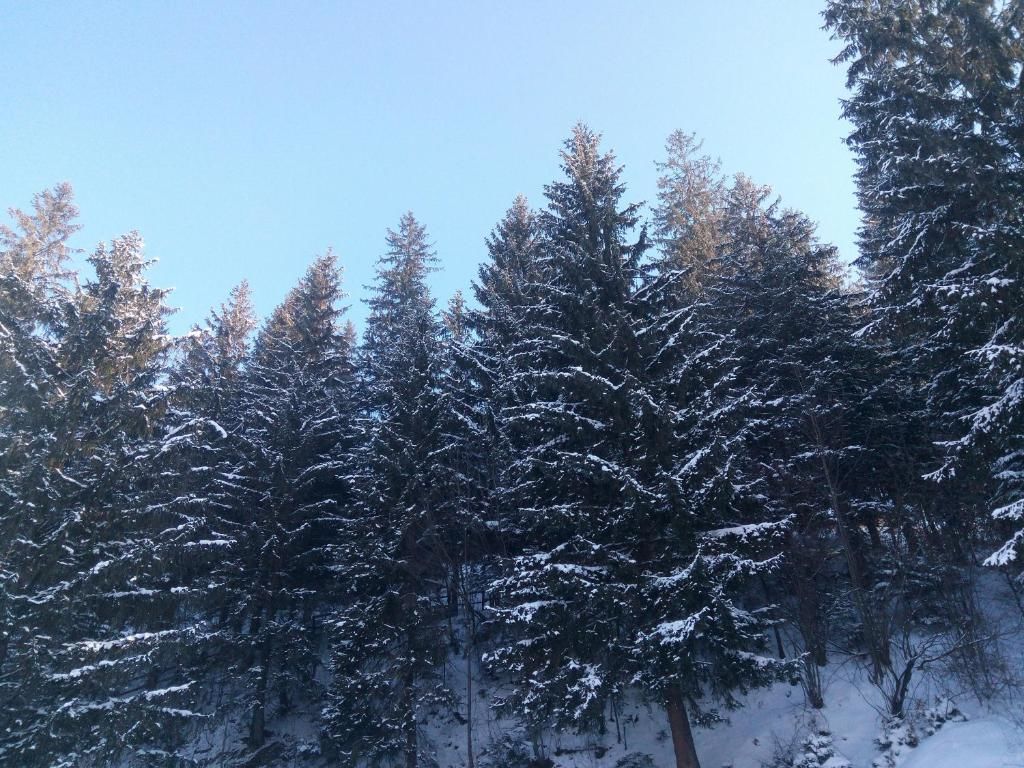 Дома для отпуска Karpaty Gutsulska Sadyba Микуличин